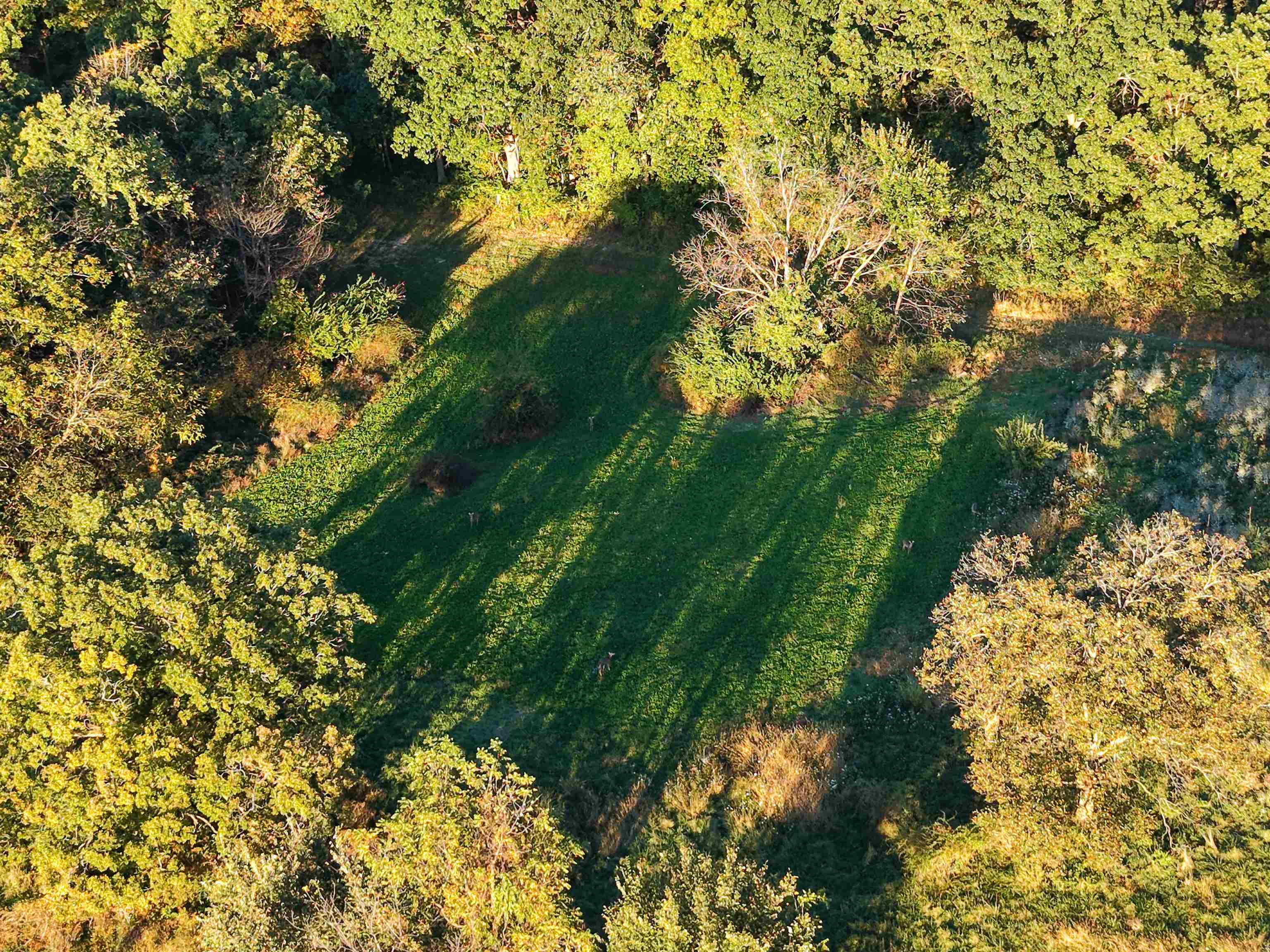 0 Us Highway 18 Prairie du Chien, WI 53821 - Photo 19 of 80