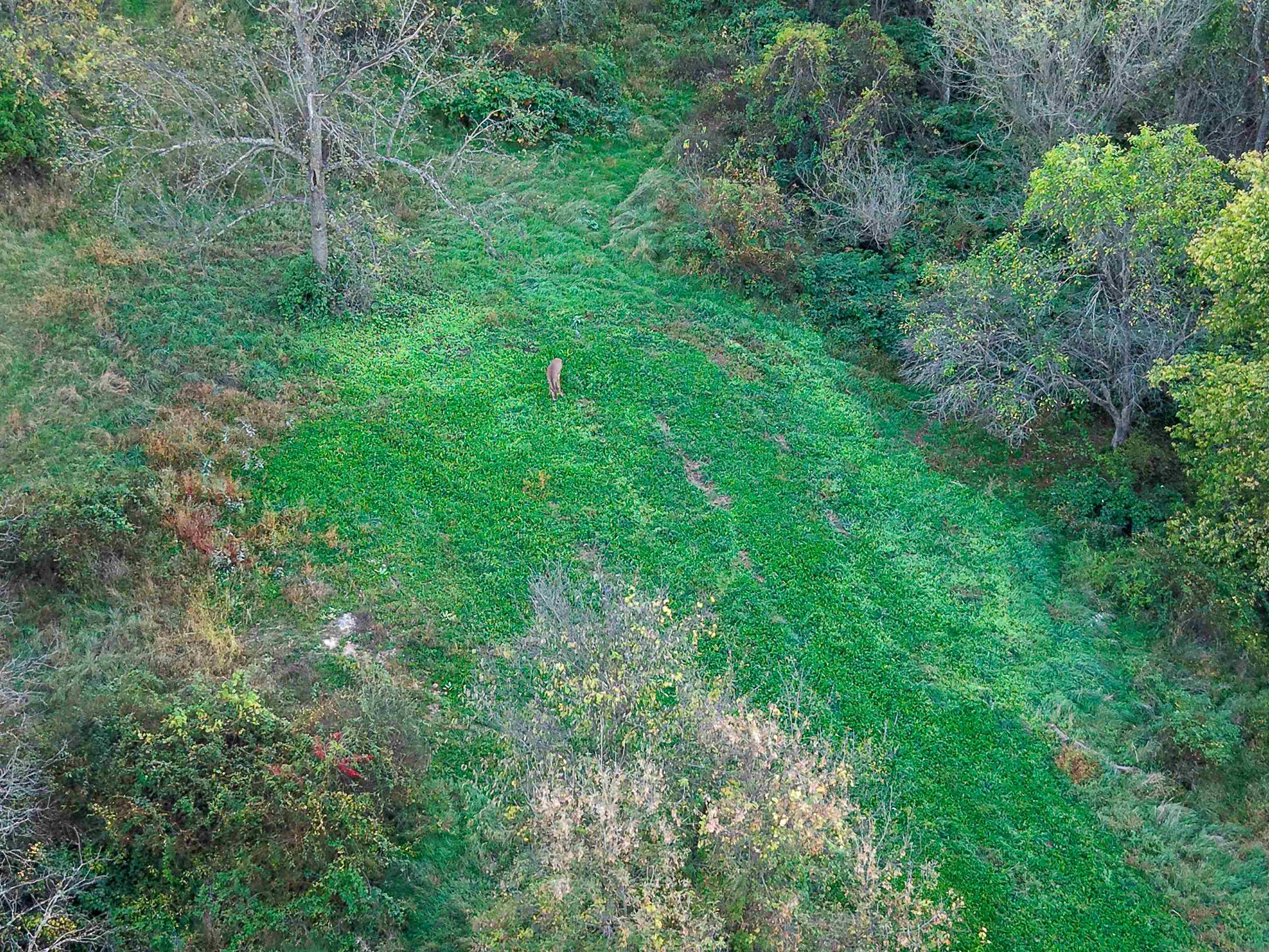 0 Us Highway 18 Prairie du Chien, WI 53821 - Photo 22 of 80