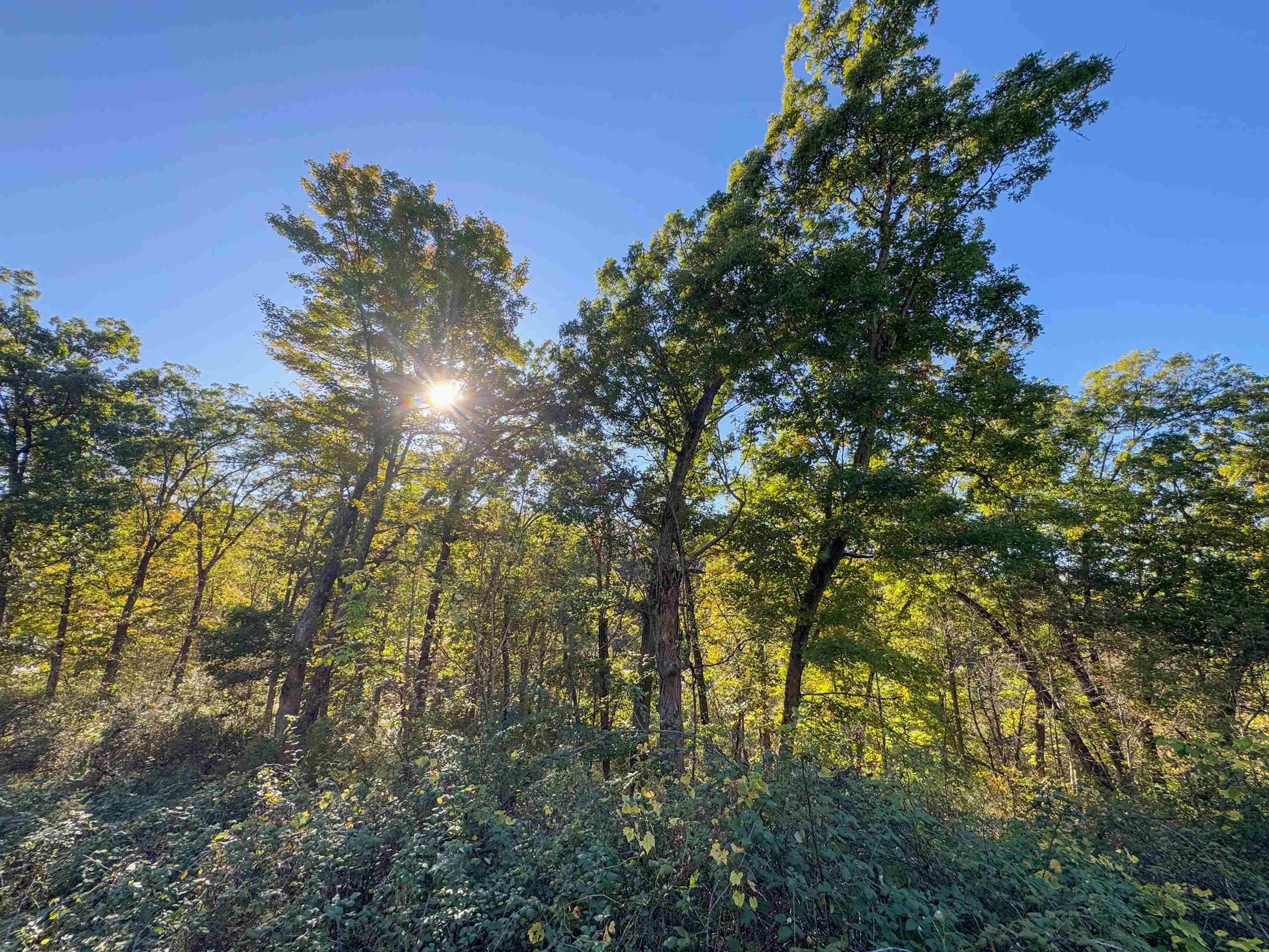 0 Us Highway 18 Prairie du Chien, WI 53821 - Photo 51 of 80