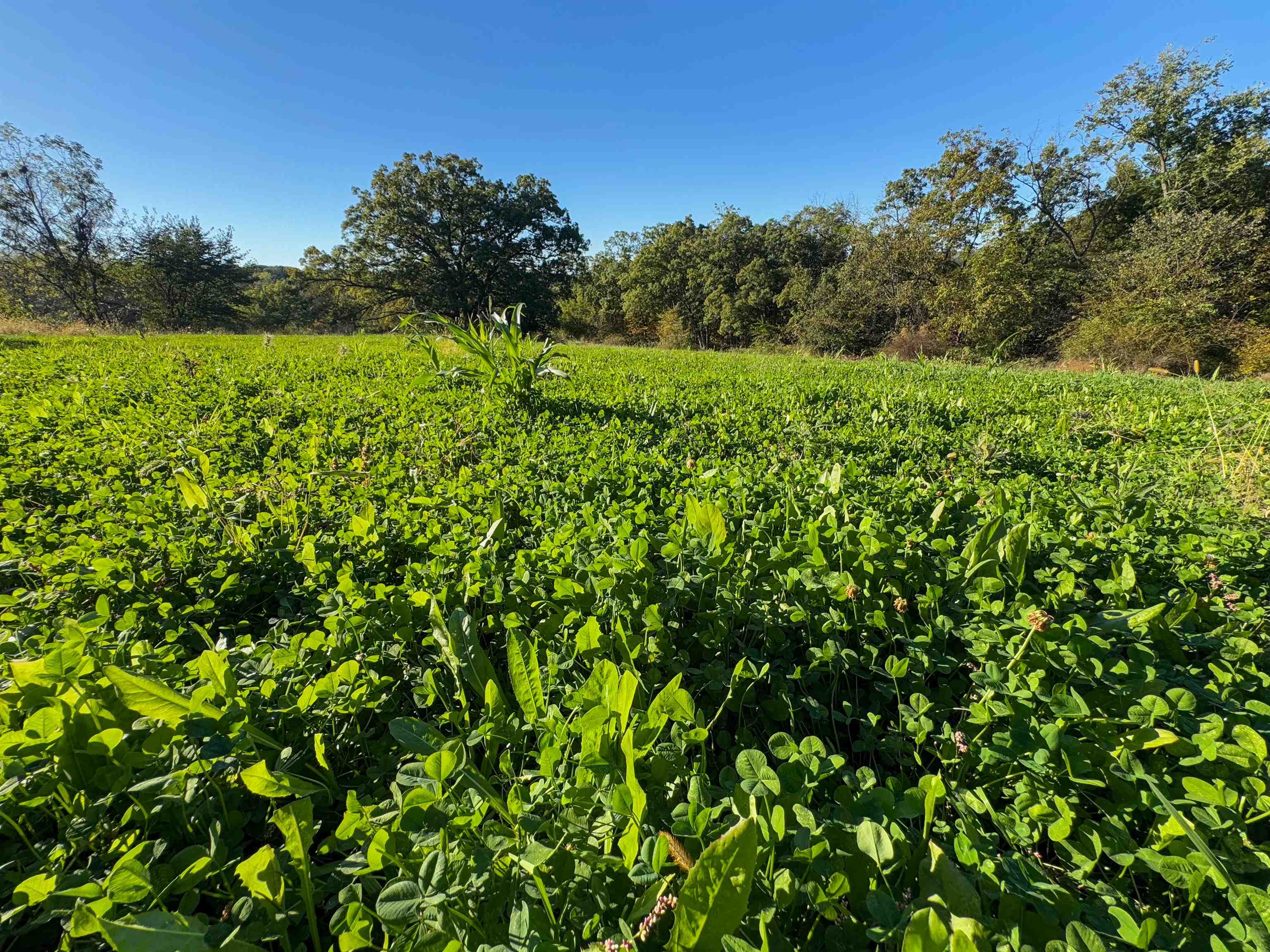 0 Us Highway 18 Prairie du Chien, WI 53821 - Photo 54 of 80