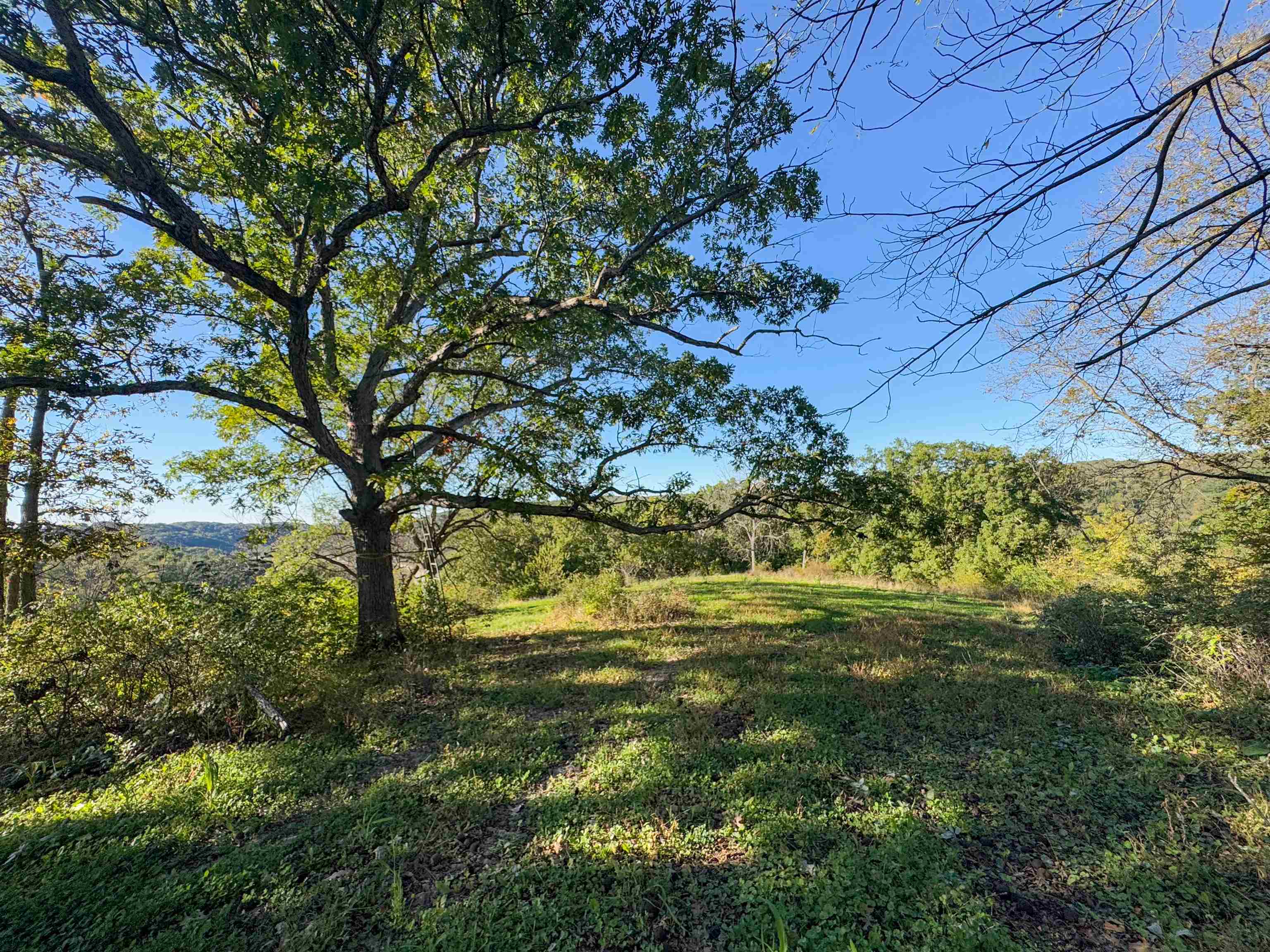 0 Us Highway 18 Prairie du Chien, WI 53821 - Photo 57 of 80