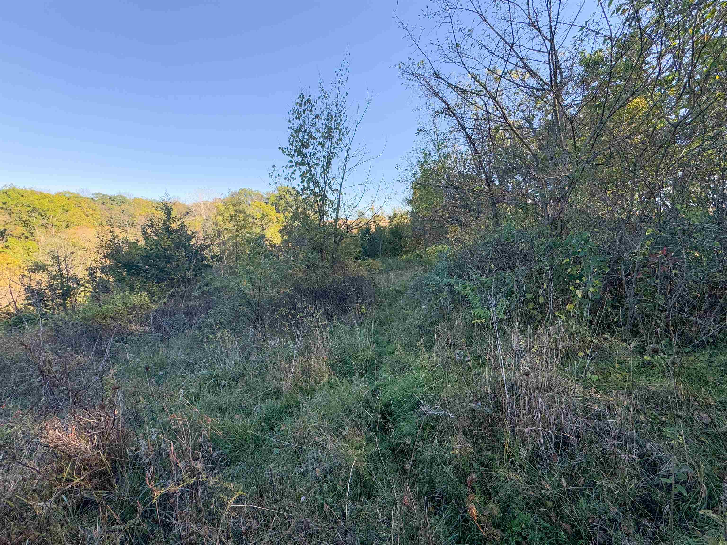 0 Us Highway 18 Prairie du Chien, WI 53821 - Photo 67 of 80