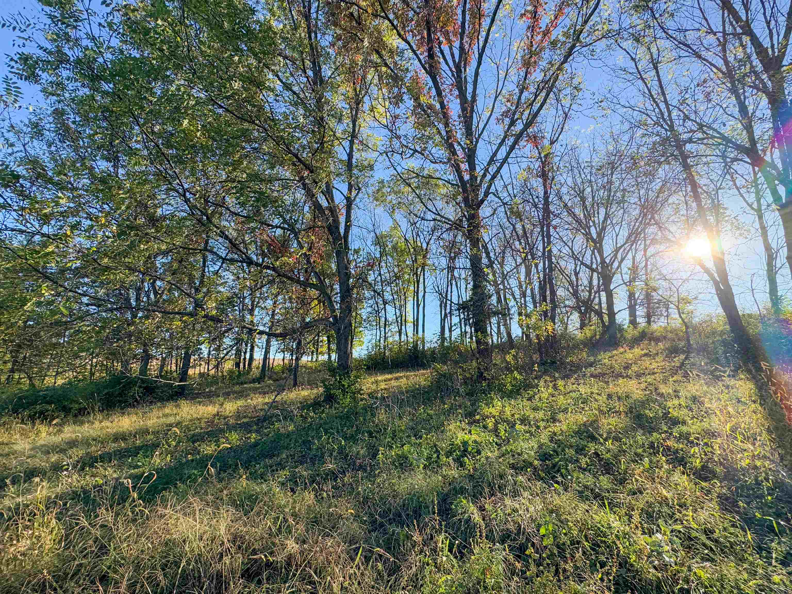 0 Us Highway 18 Prairie du Chien, WI 53821 - Photo 68 of 80