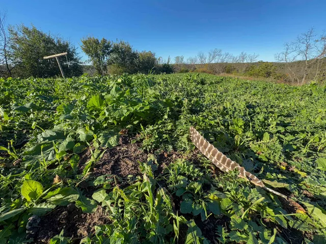 $925,000 | 0 Us Highway 18, Prairie du Chien, WI 53821