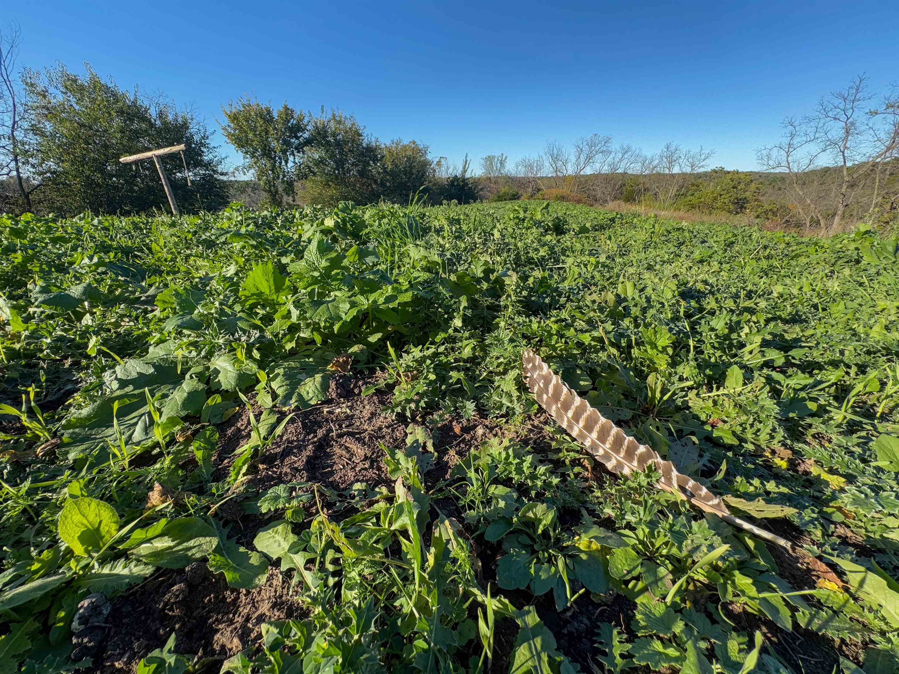 0 Us Highway 18 Prairie du Chien, WI 53821 - Photo 69 of 80