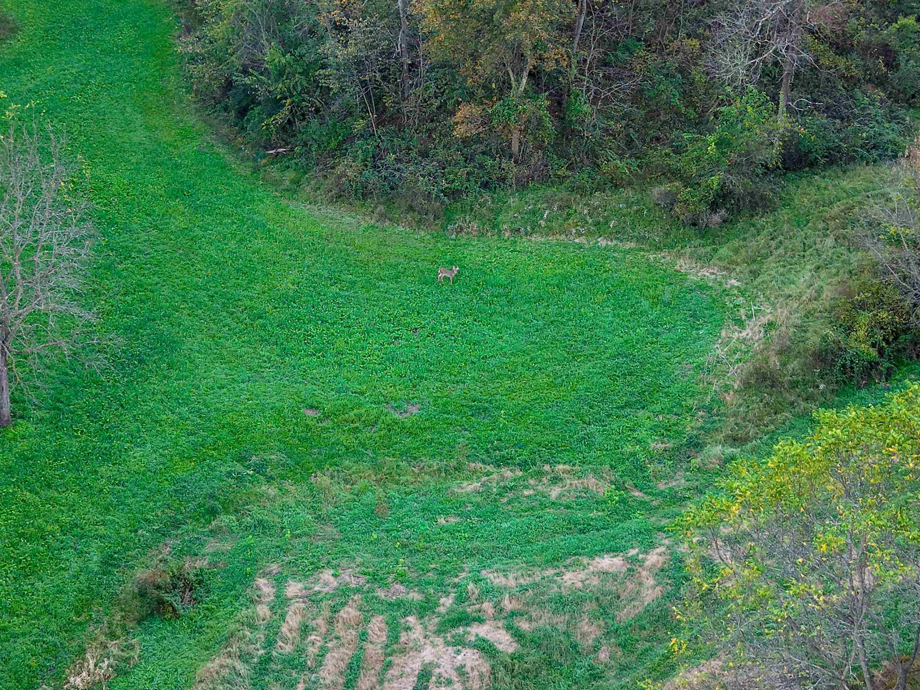 0 Us Highway 18 Prairie du Chien, WI 53821 - Photo 7 of 80