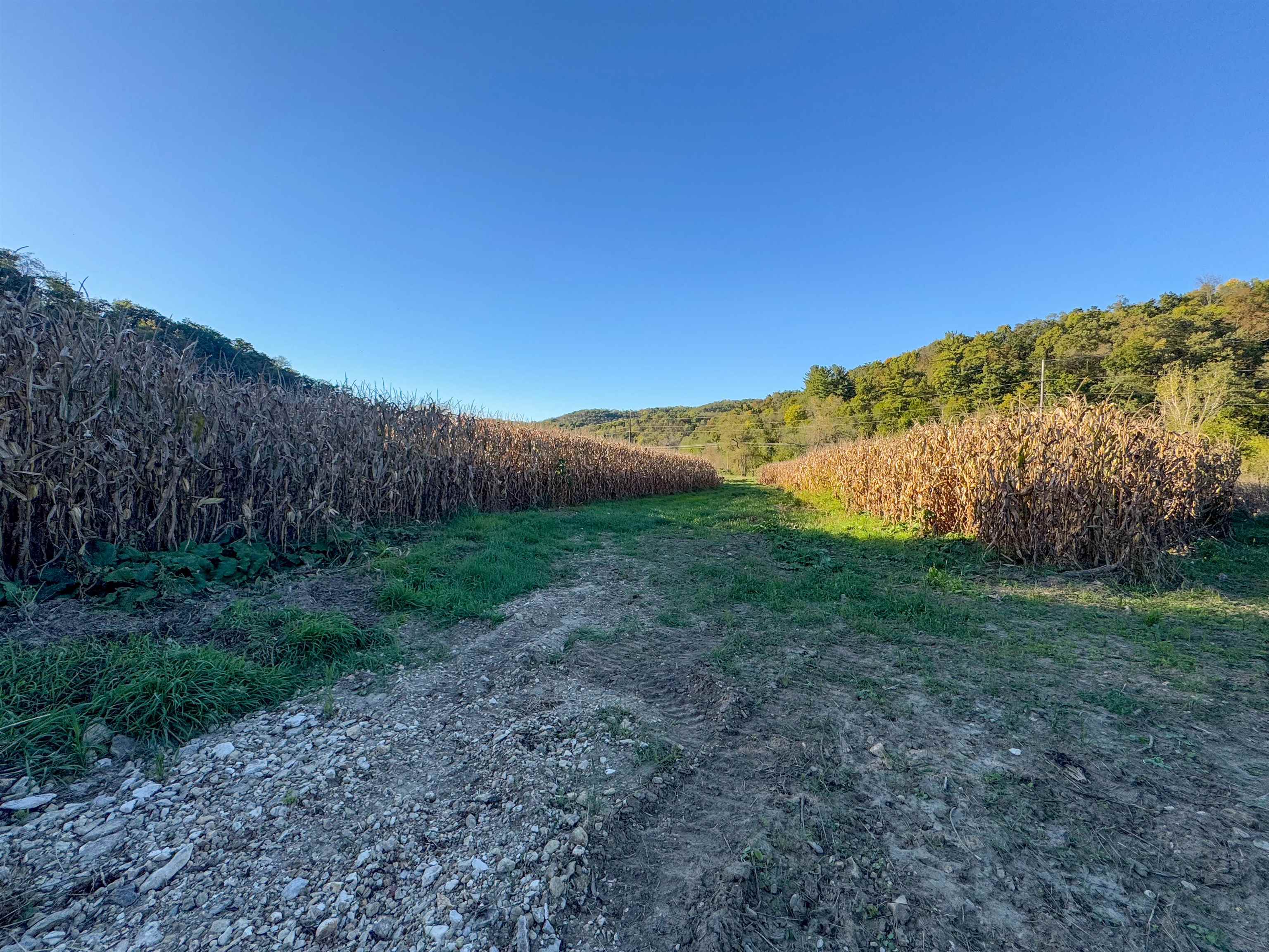0 Us Highway 18 Prairie du Chien, WI 53821 - Photo 72 of 80
