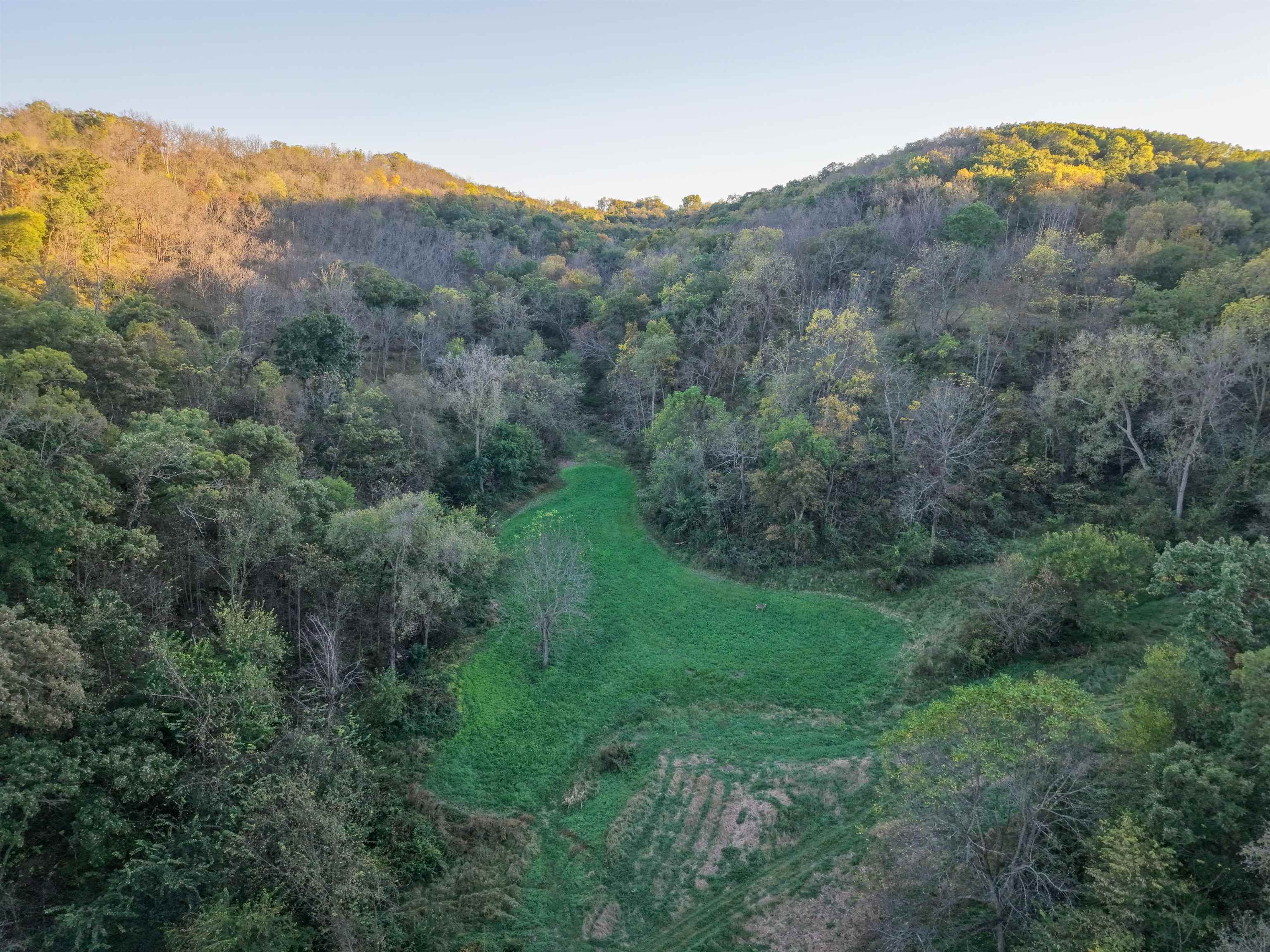 0 Us Highway 18 Prairie du Chien, WI 53821 - Photo 8 of 80