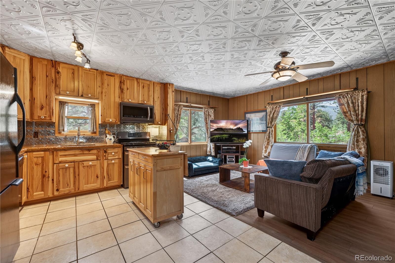 256 Houston Street Bailey, CO 80421 - Photo 14 of 34