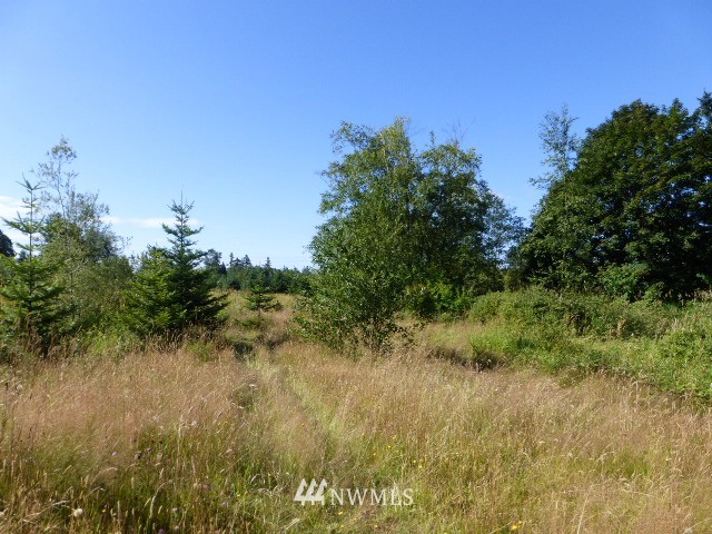 6219 North Star Road Ferndale, WA 98248 - Photo 12 of 19 Gallery Image 12