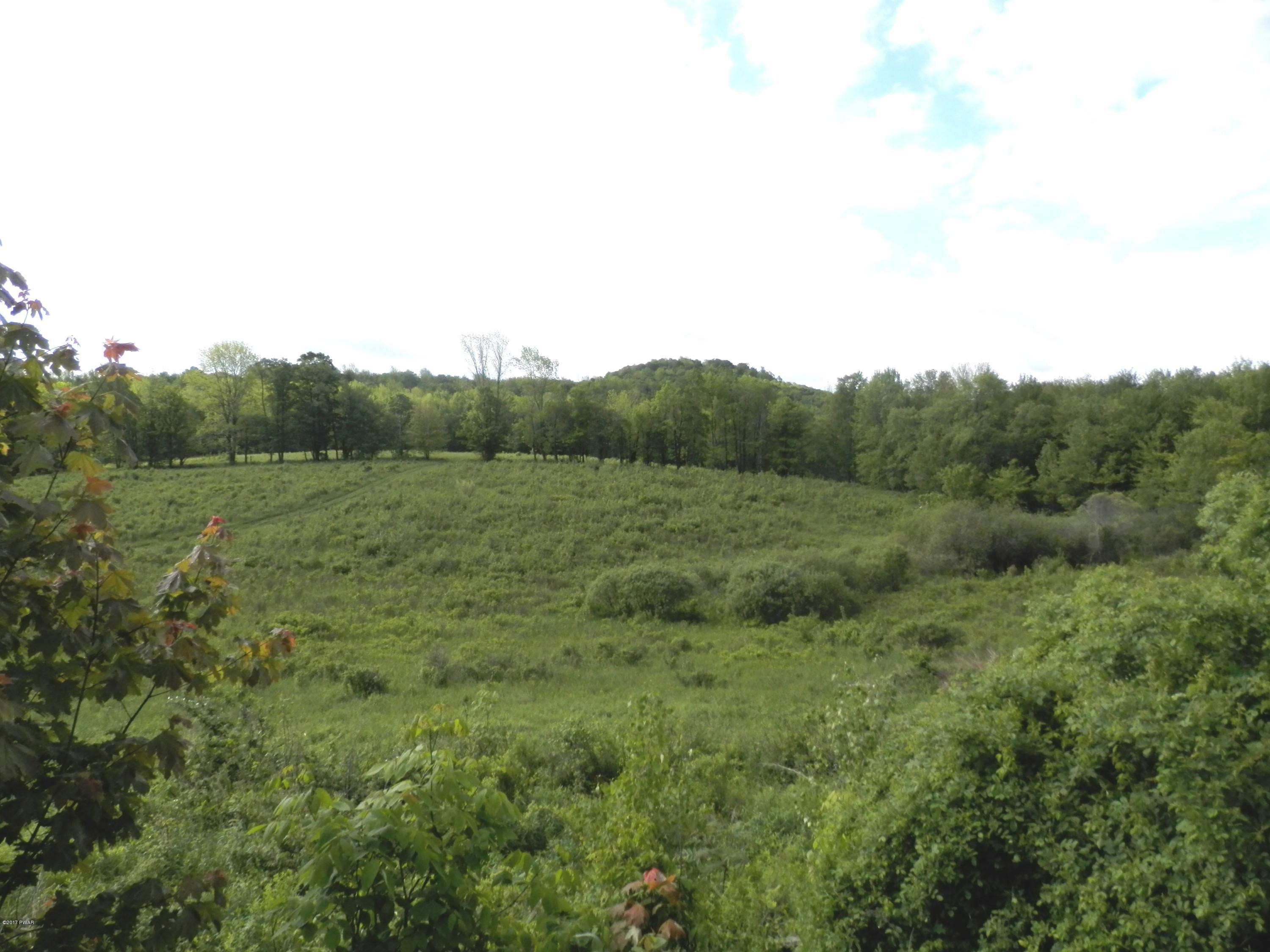 45 Lake Cross Road Pleasant Mount, PA 18453 - Photo 10 of 46 FEILDS OF GREEN