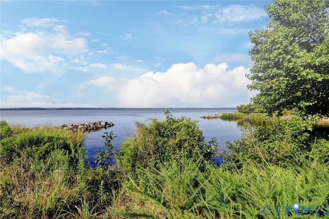 an aerial view of a residential houses with outdoor space and trees