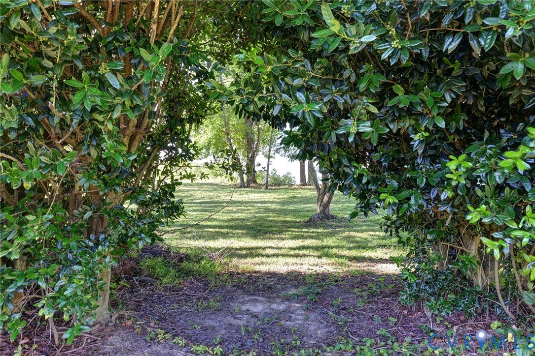 1540 Harbor Road Williamsburg, VA 23185 - Photo 36 of 50 a view of a trees in a yard
