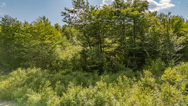 $39,900 | Map6-l9-a34 Russell Road, Brownville, ME 04414