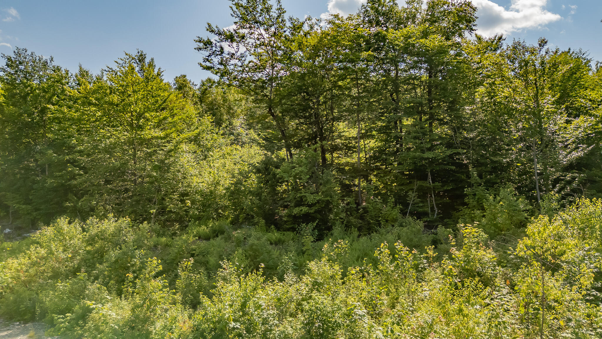 Map6-l9-a34 Russell Road Brownville, ME 04414 - Photo 2 of 7 DJI_20250630155034_0579_D