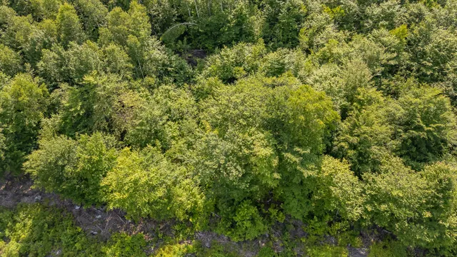 $39,900 | Map6-l9-a34 Russell Road, Brownville, ME 04414