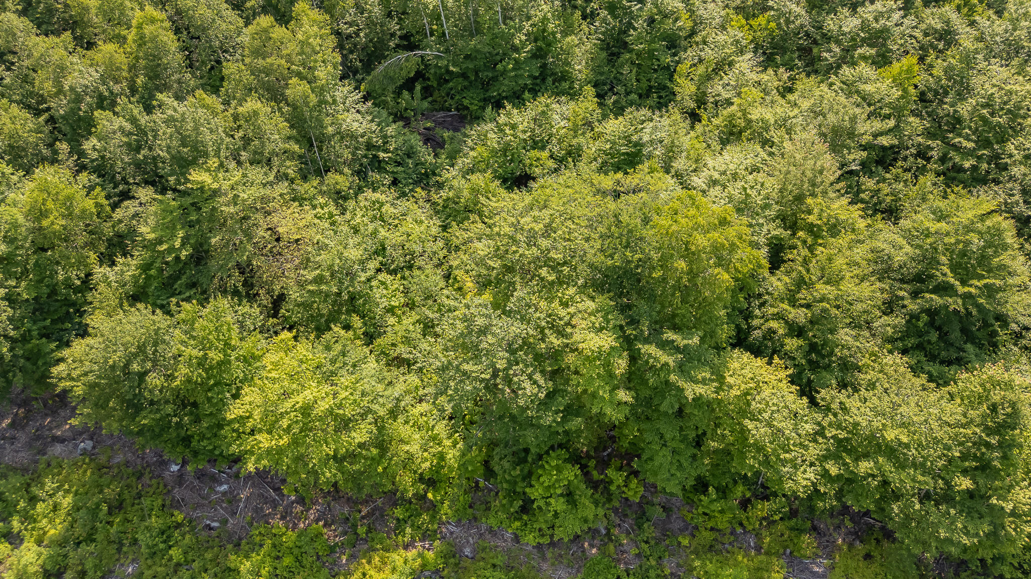 Map6-l9-a34 Russell Road Brownville, ME 04414 - Photo 5 of 7 DJI_20250630155115_0582_D