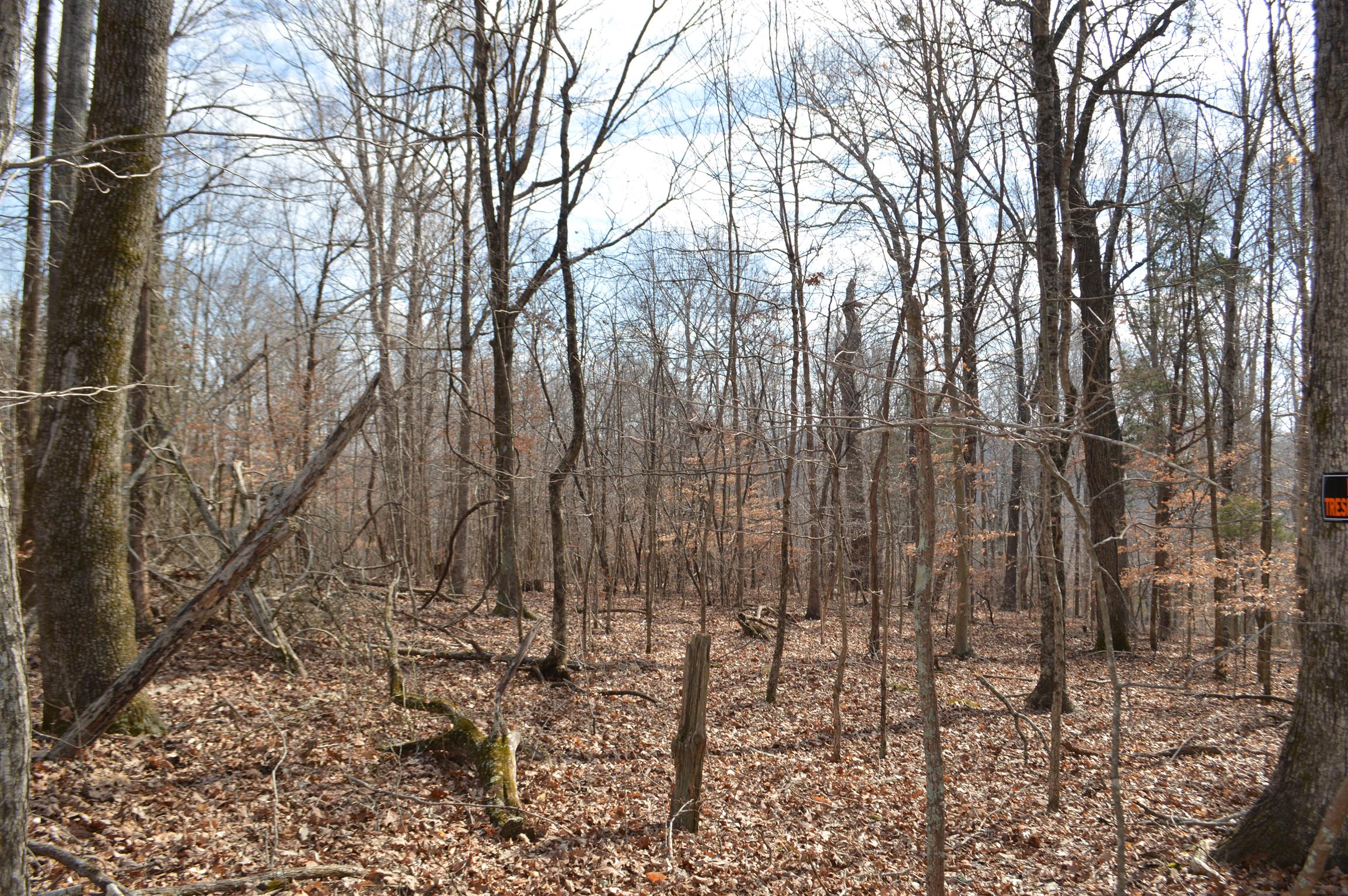 0 Jarman Hollow Road Palmyra, TN 37142 - Photo 9 of 20 Gallery Image 9
