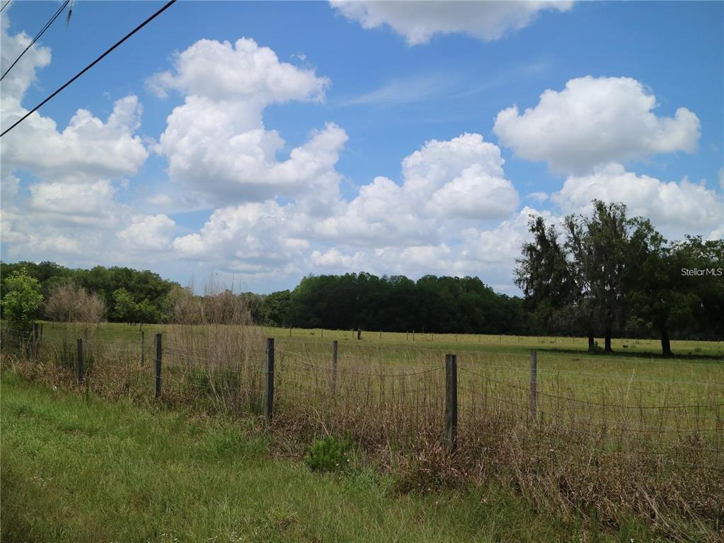 11819 Tarpon Springs Road Odessa, FL 33556 - Photo 6 of 7