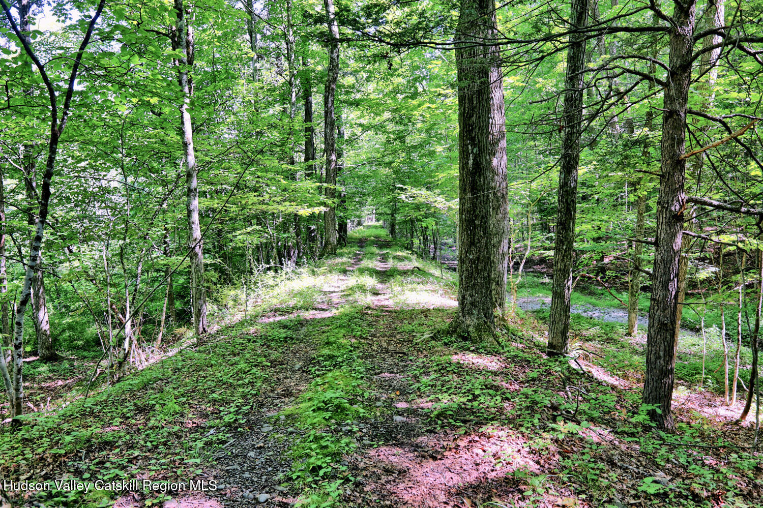 128 West Moorehouse Road Cairo, NY 12413 - Photo 93 of 132 9zzv