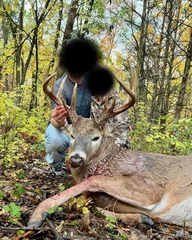 $1,680,000 | 0 Pike 107, Frankford, MO 63441