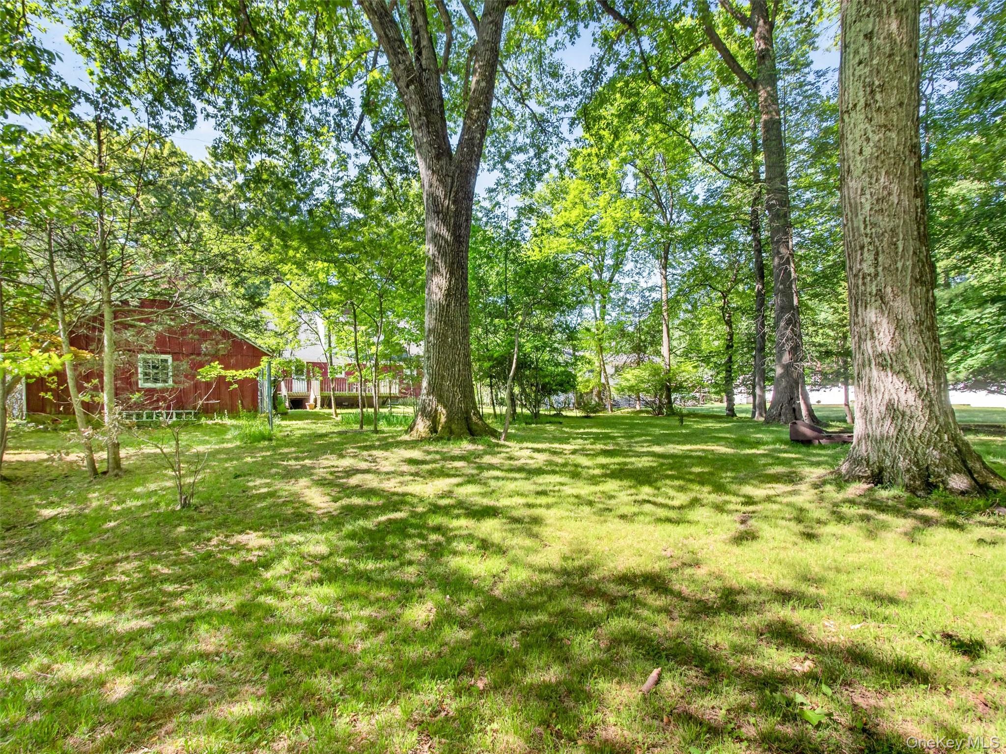 56 Oak Road New City, NY 10956 - Photo 30 of 30 a view of a yard with a tree