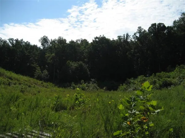 $20,000 | Lot #12 Short White Oak Road, Russell, KY 41169