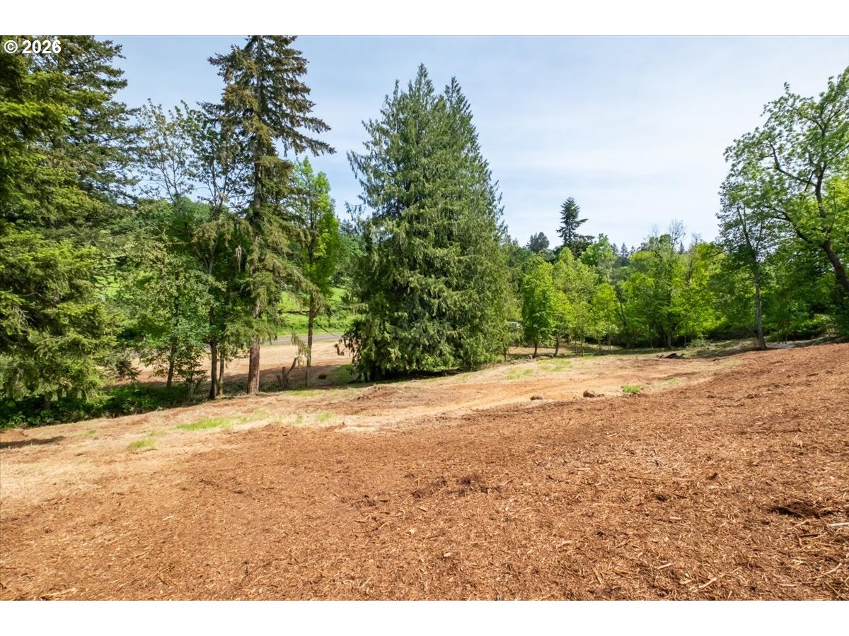 3835 Edison Road Northeast Silverton, OR 97381 - Photo 8 of 39