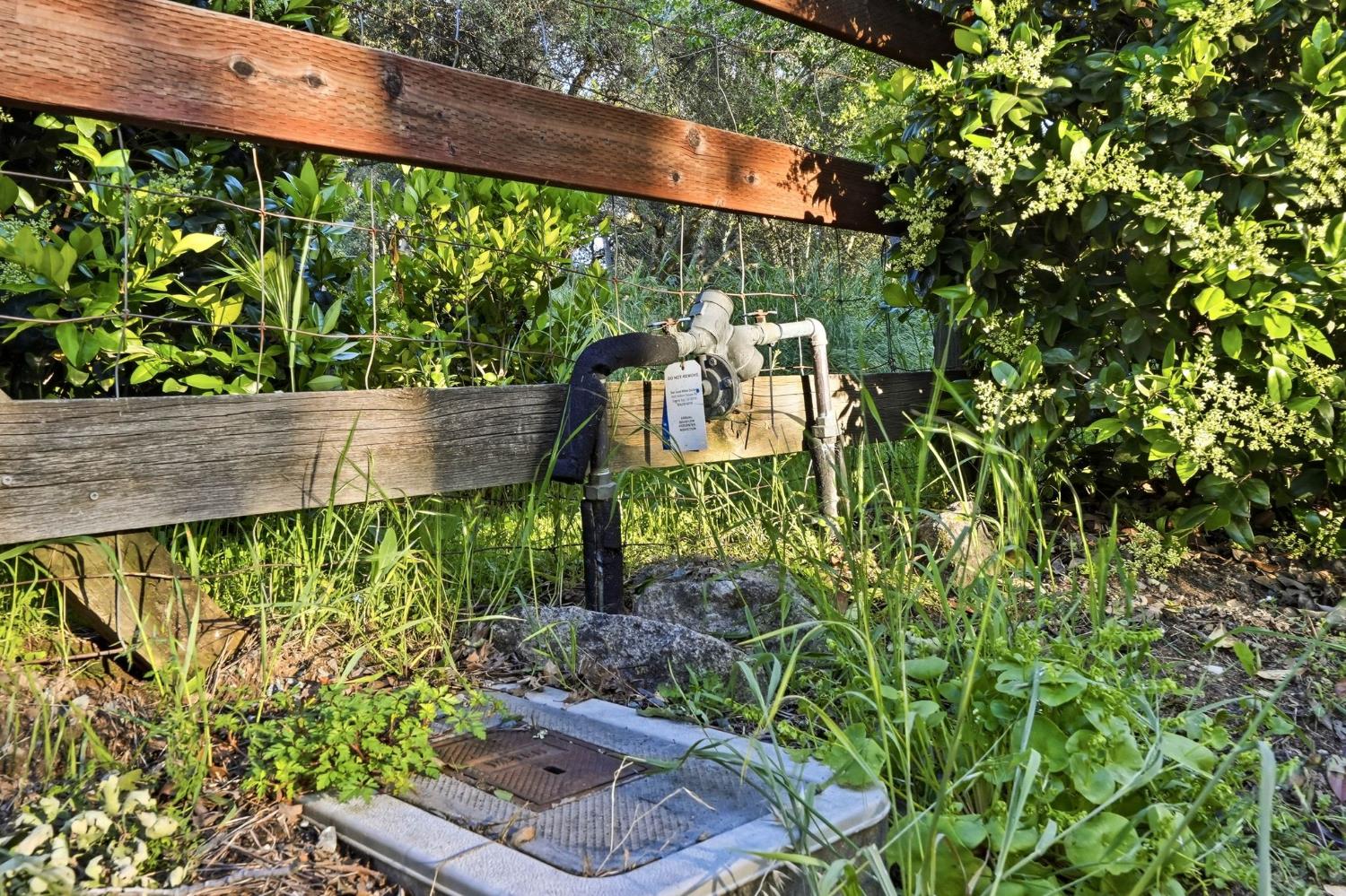 6845 Barton Road Granite Bay, CA 95746 - Photo 11 of 33 a view of a backyard with plants