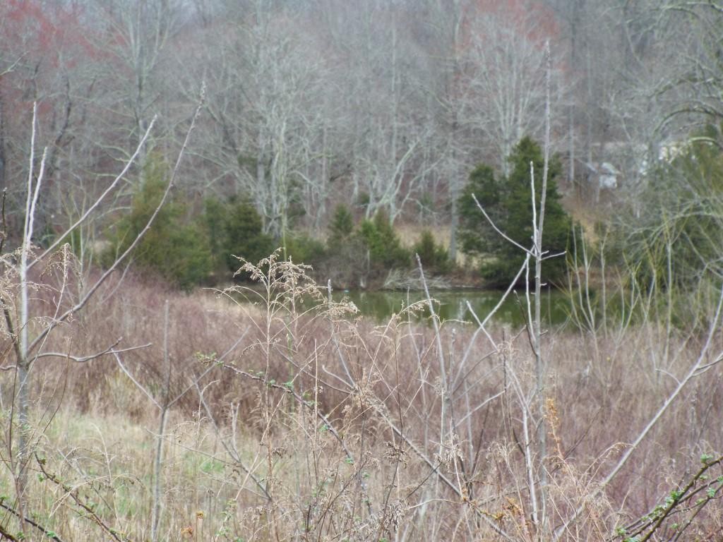 479 Murdock Road Sparta, TN 38583 - Photo 5 of 24 Gallery Image 5