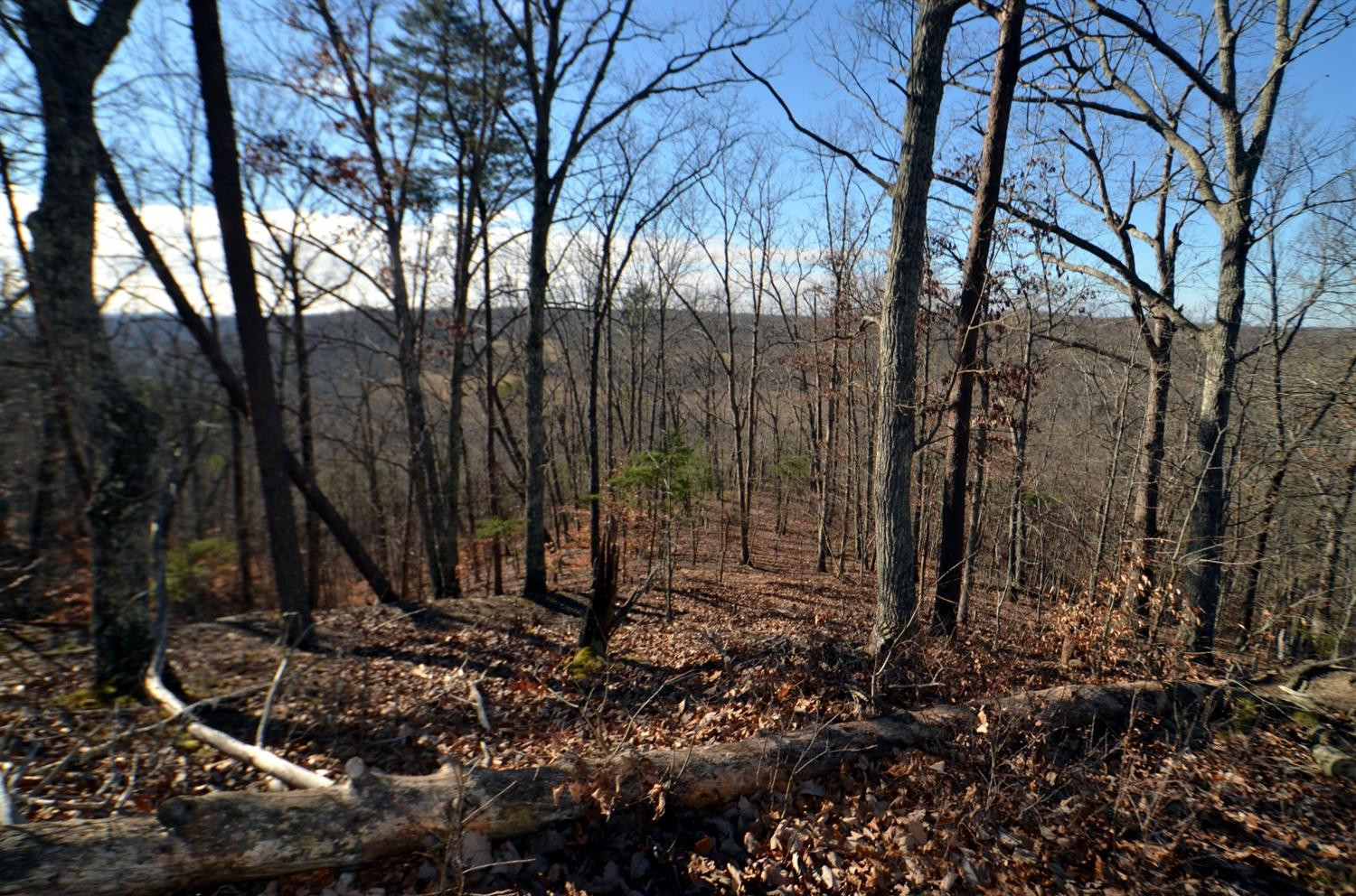 146 Opossum Run Road Irvine, KY 40336 - Photo 31 of 64 Hunter's delight!