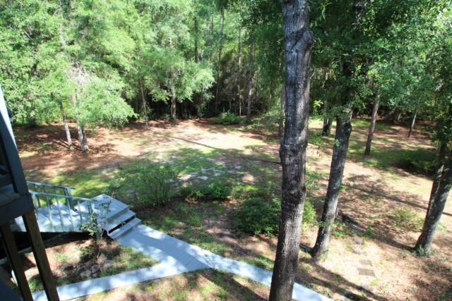 325 Ridge Lake Road Crestview, FL 32536 - Photo 5 of 64 a view of backyard with tree