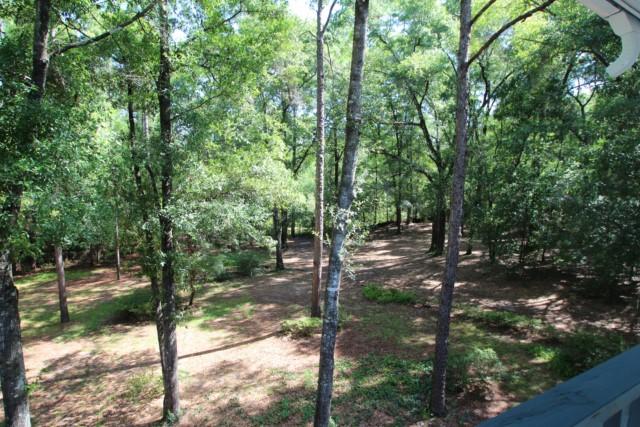 325 Ridge Lake Road Crestview, FL 32536 - Photo 42 of 64 a view of a forest filled with trees
