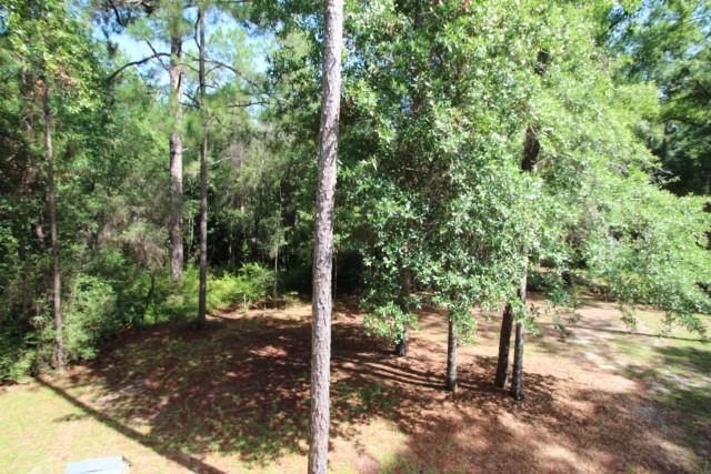 325 Ridge Lake Road Crestview, FL 32536 - Photo 46 of 64 a view of a forest with trees