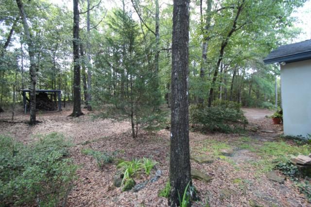 325 Ridge Lake Road Crestview, FL 32536 - Photo 54 of 64 a view of a forest filled with trees