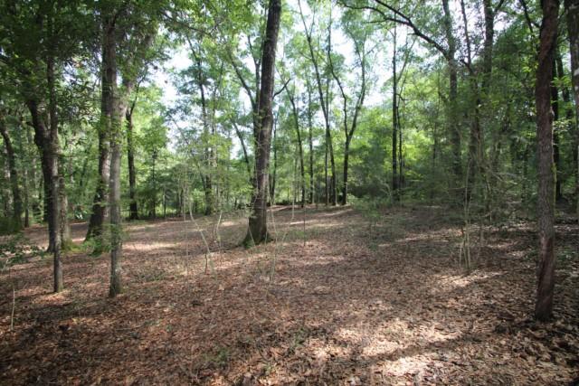 325 Ridge Lake Road Crestview, FL 32536 - Photo 55 of 64 a view of a forest with trees in the background