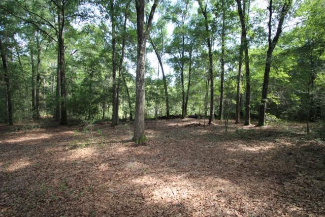 325 Ridge Lake Road Crestview, FL 32536 - Photo 56 of 64 a view of a forest with trees in the background