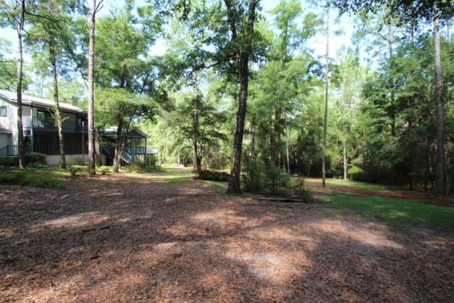 325 Ridge Lake Road Crestview, FL 32536 - Photo 57 of 64 a view of a tree in the middle of a yard