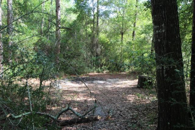 325 Ridge Lake Road Crestview, FL 32536 - Photo 58 of 64 a view of outdoor space and trees