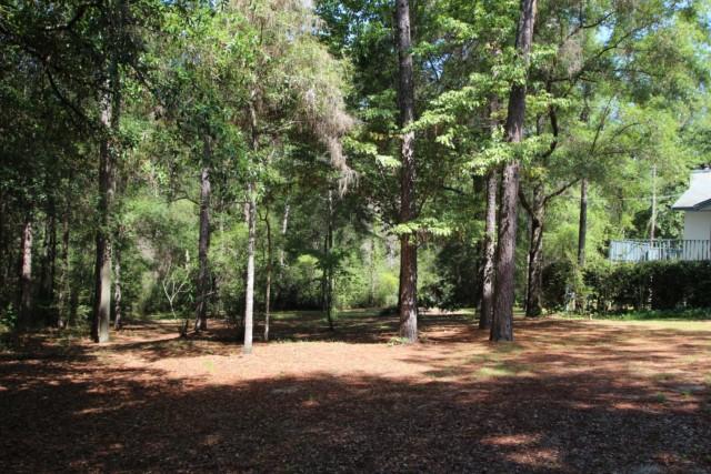 325 Ridge Lake Road Crestview, FL 32536 - Photo 62 of 64 a view of a tree with a big yard