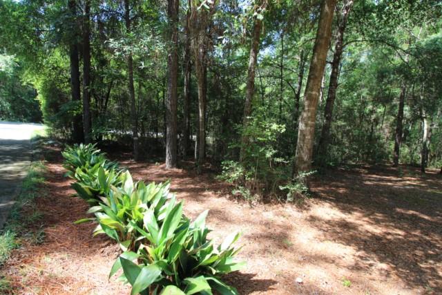 325 Ridge Lake Road Crestview, FL 32536 - Photo 63 of 64 a backyard of a house with lots of green space