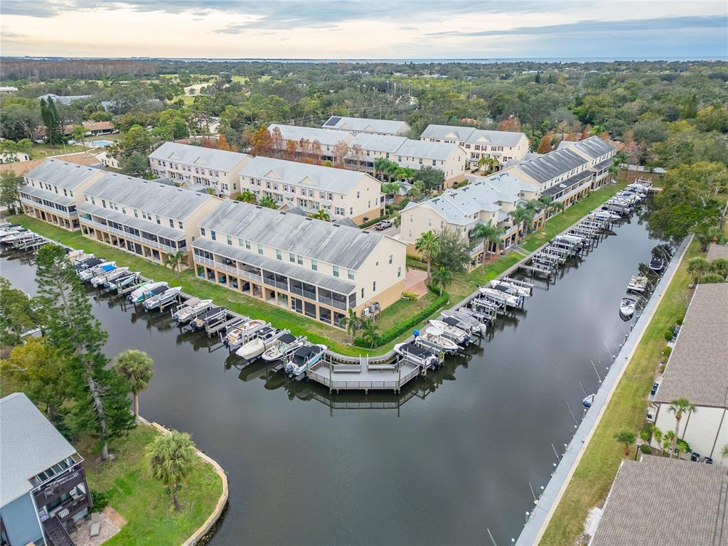 829 Callista Cay Loop Tarpon Springs, FL 34689 - Photo 84 of 91 a view of a lake with a mountain in the background