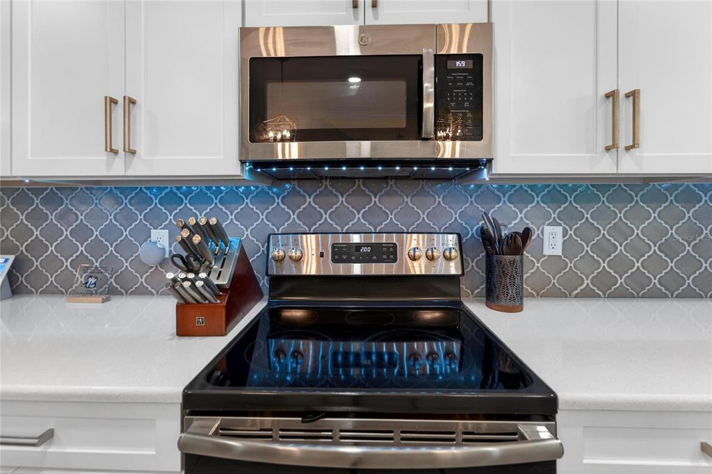 829 Callista Cay Loop Tarpon Springs, FL 34689 - Photo 10 of 91