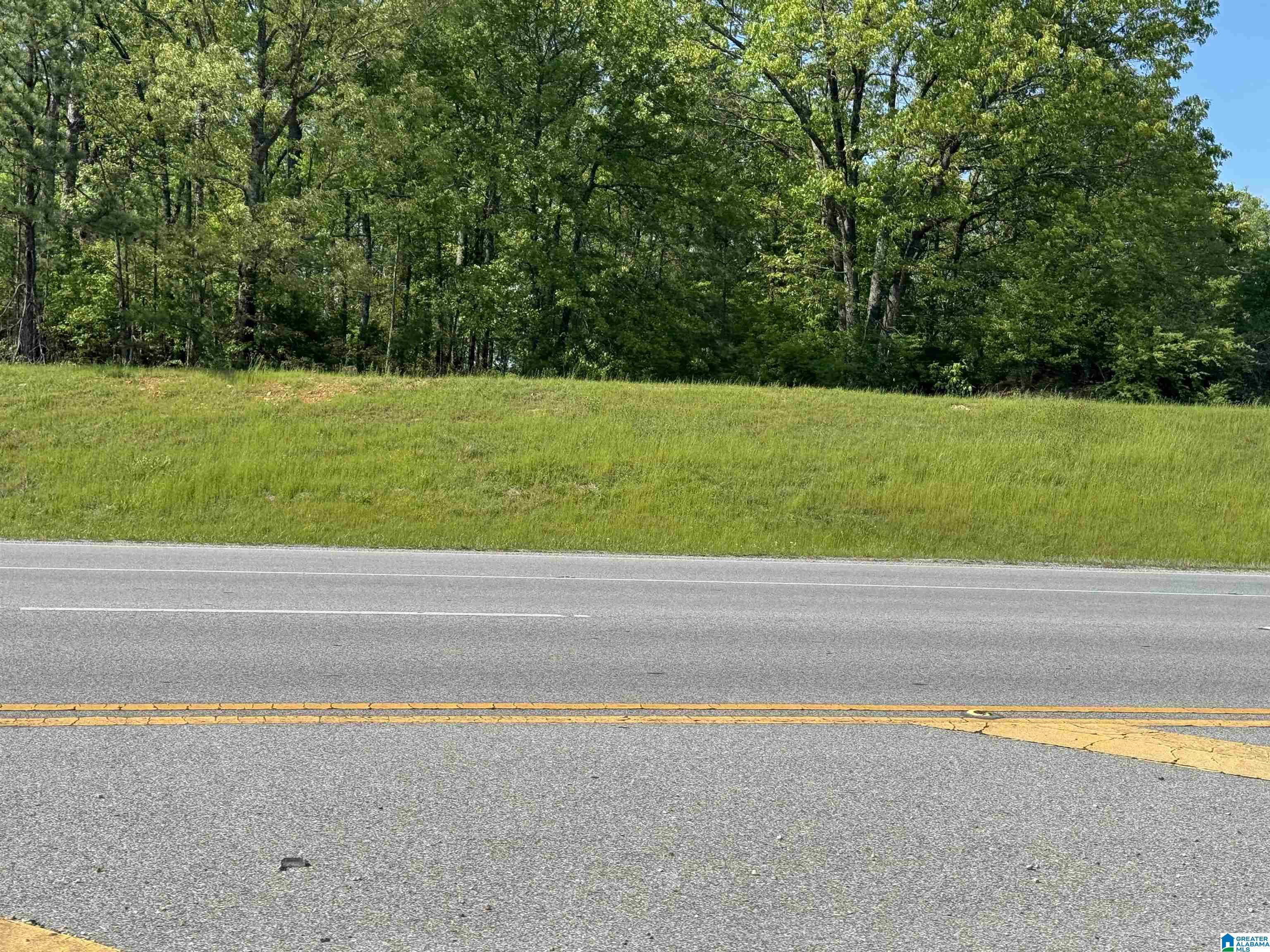 0 Coldwater Road Anniston, AL 36201 - Photo 22 of 25