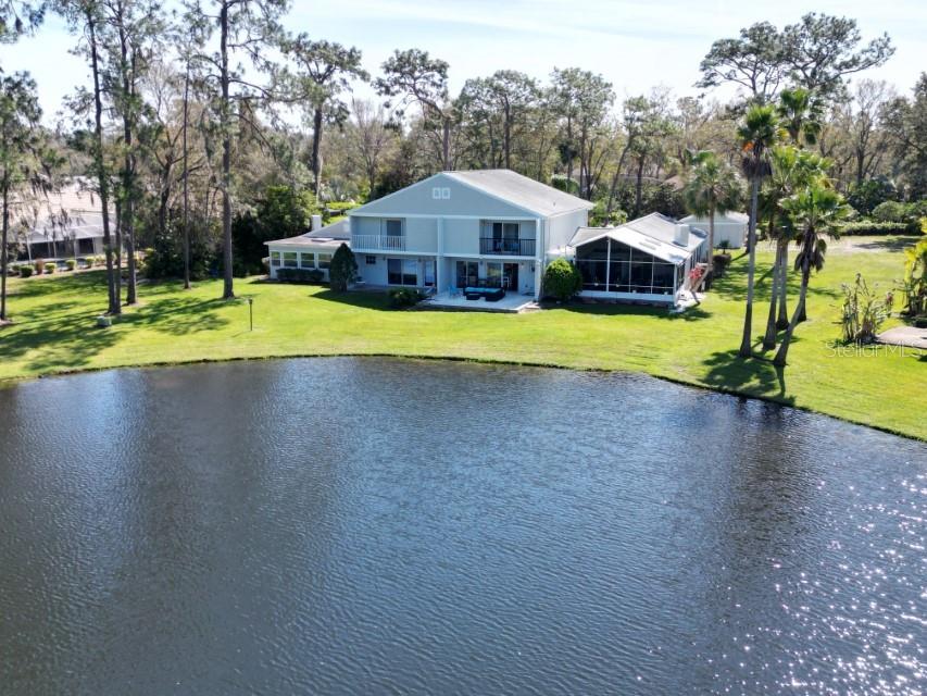 5348 Saddlebrook Way, Unit 2 Wesley Chapel, FL 33543 - Photo 37 of 38 a view of pool with umbrella and trees in the background