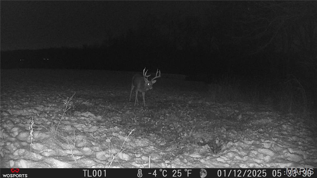 242 Gerding Road Troy, MO 63379 - Photo 2 of 99