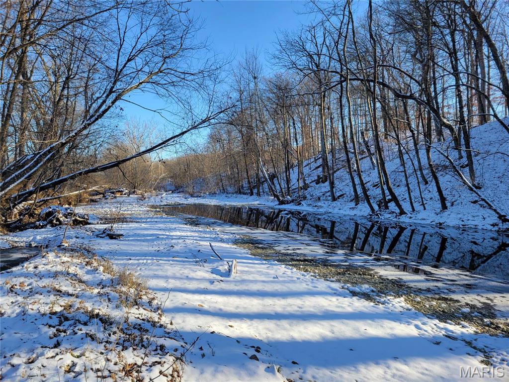 242 Gerding Road Troy, MO 63379 - Photo 4 of 99