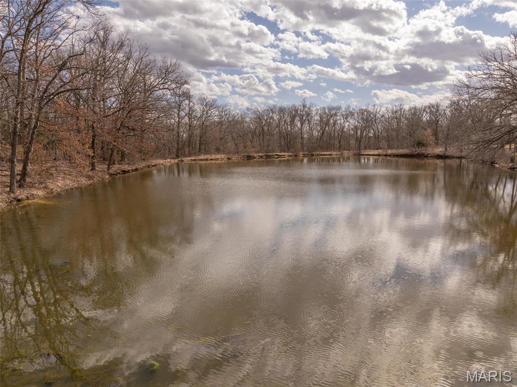 242 Gerding Road Troy, MO 63379 - Photo 41 of 99