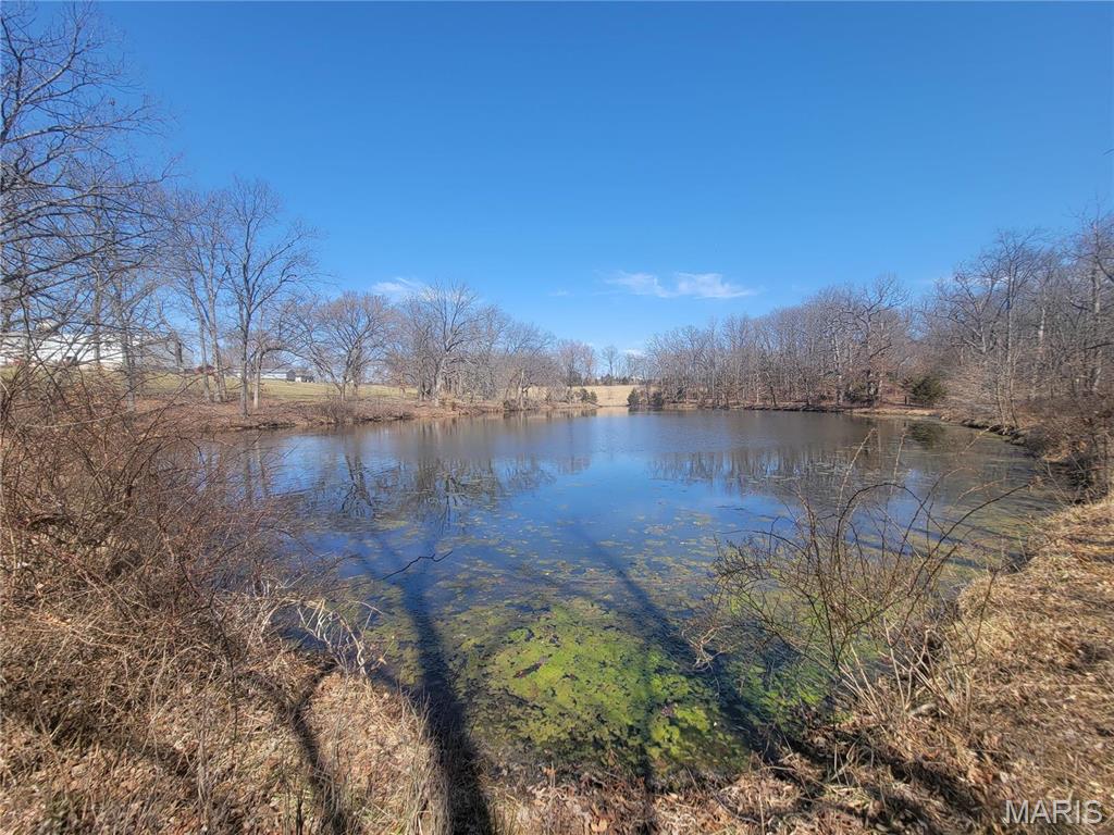 242 Gerding Road Troy, MO 63379 - Photo 42 of 99