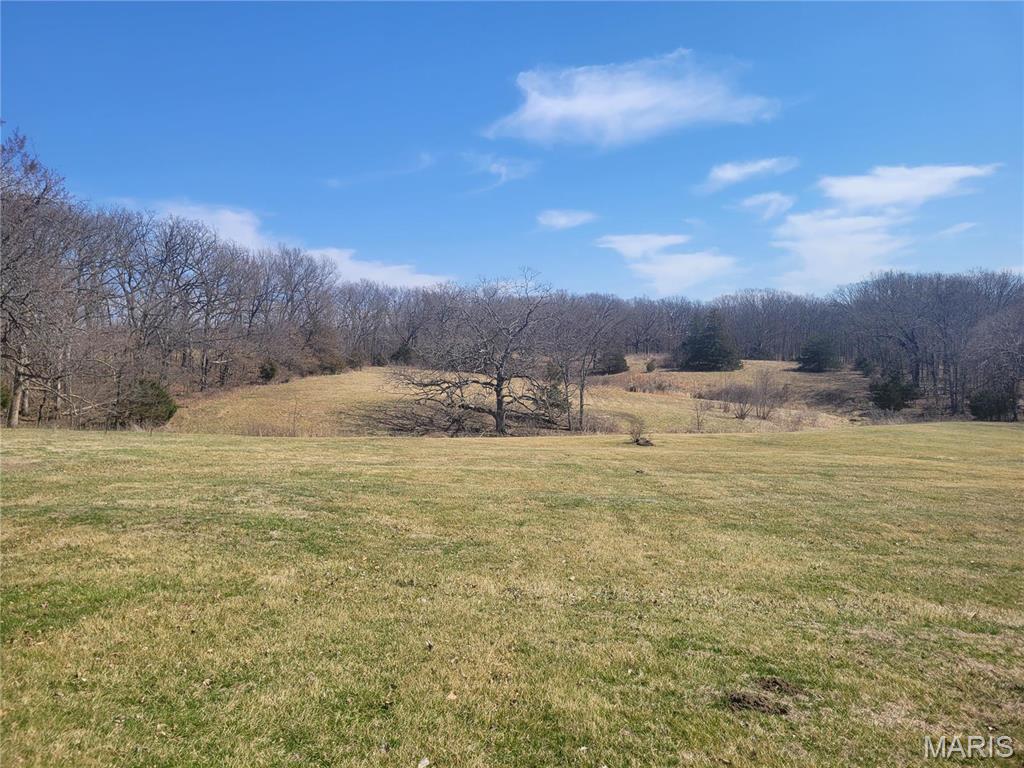 242 Gerding Road Troy, MO 63379 - Photo 44 of 99